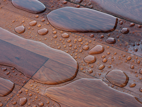 Can I Do My Own Waterproofing?