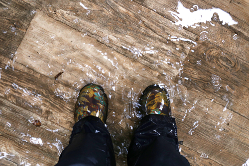 Which Part Of My Home Needs Waterproofing?