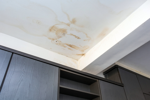 Common Signs of Water Damage