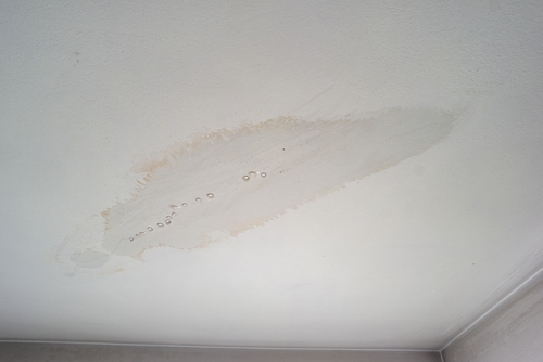 Physical Signs of Water Damage