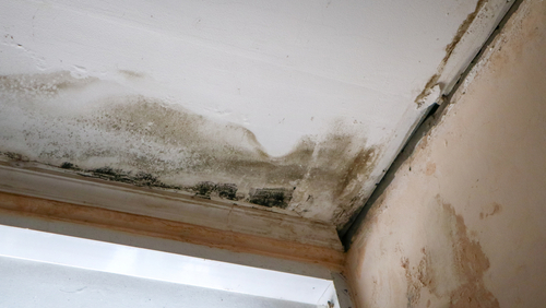 Why Waterproofing is Crucial in High-Humidity Locations