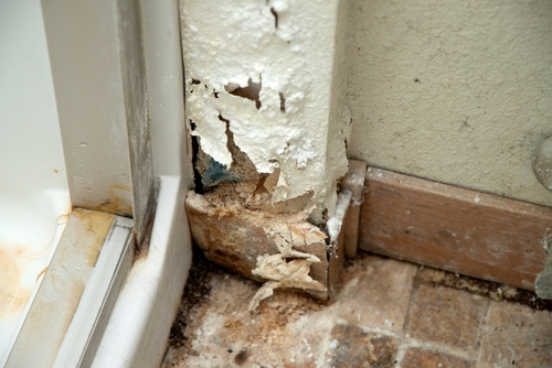 Identifying Mold and Mildew Risks